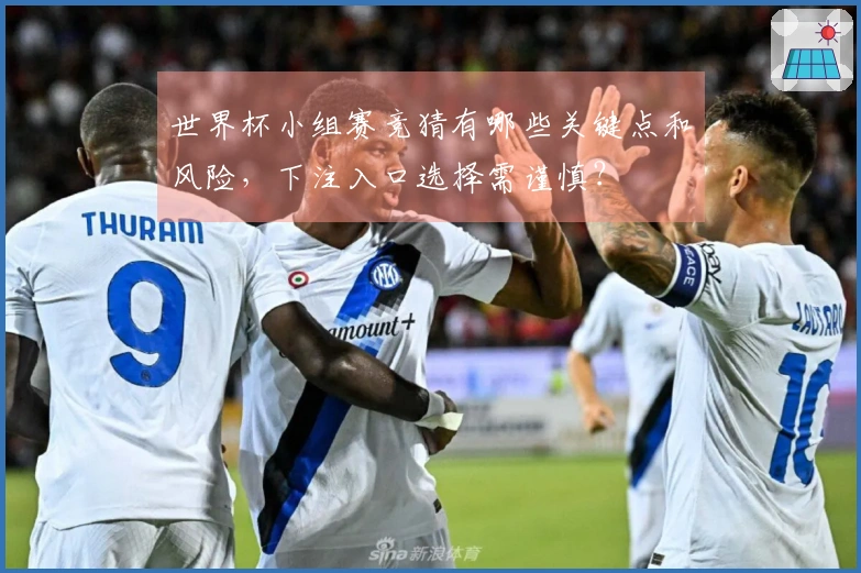 世界杯小组赛竞猜有哪些关键点和风险，下注入口选择需谨慎？