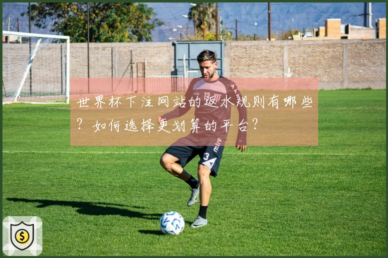 世界杯下注网站的返水规则有哪些？如何选择更划算的平台？