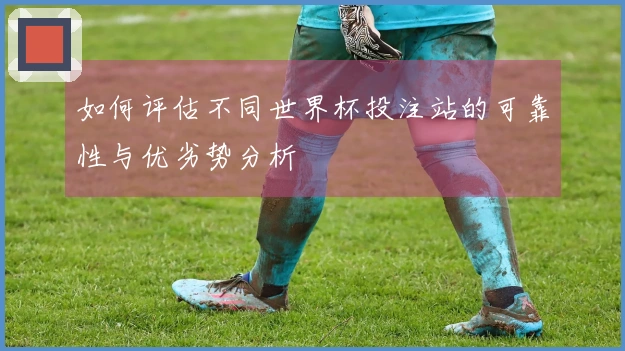 如何评估不同世界杯投注站的可靠性与优劣势分析