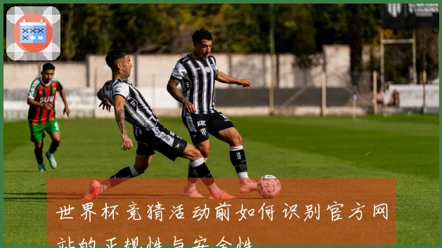 世界杯竞猜活动前如何识别官方网站的正规性与安全性