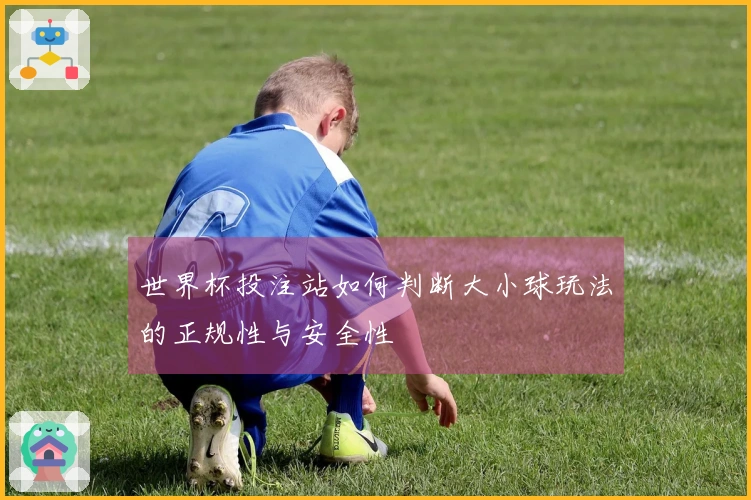 世界杯投注站如何判断大小球玩法的正规性与安全性