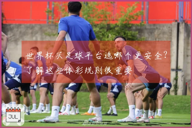 世界杯买足球平台选哪个更安全？了解这些体彩规则很重要
