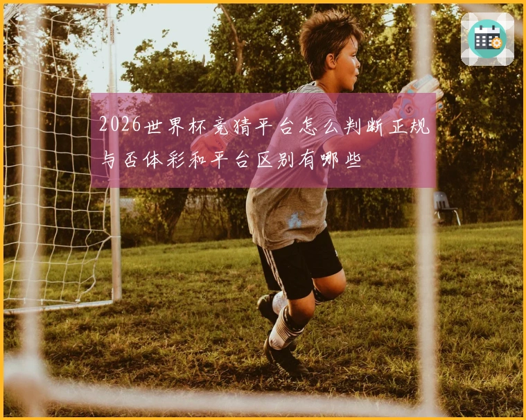 2026世界杯竞猜平台怎么判断正规与否体彩和平台区别有哪些