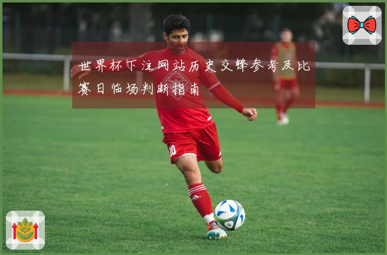 世界杯下注网站历史交锋参考及比赛日临场判断指南