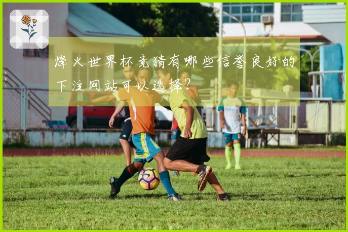 烽火世界杯竞猜有哪些信誉良好的下注网站可以选择?