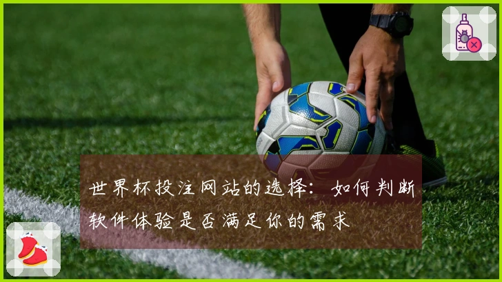 世界杯投注网站的选择：如何判断软件体验是否满足你的需求