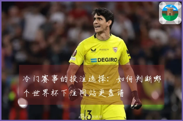 冷门赛事的投注选择：如何判断哪个世界杯下注网站更靠谱