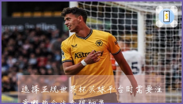 选择正规世界杯买球平台时需要注意哪些合法合规细节