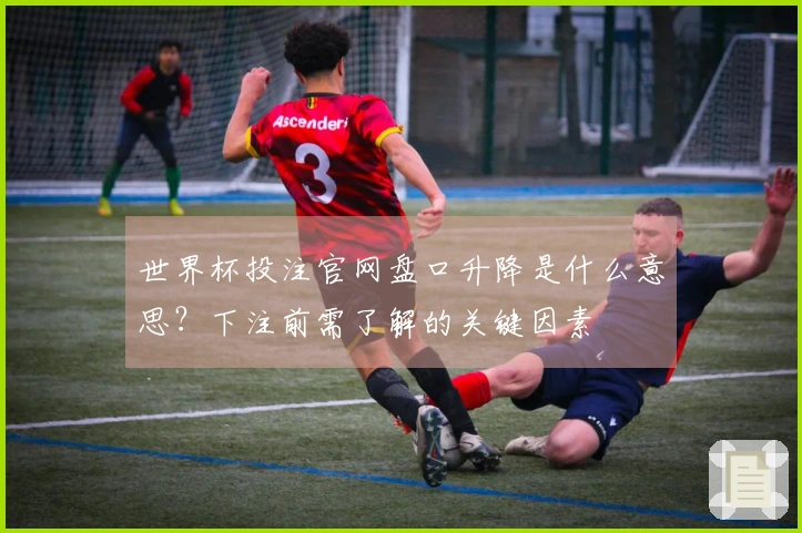 世界杯投注官网盘口升降是什么意思?下注前需了解的关键因素