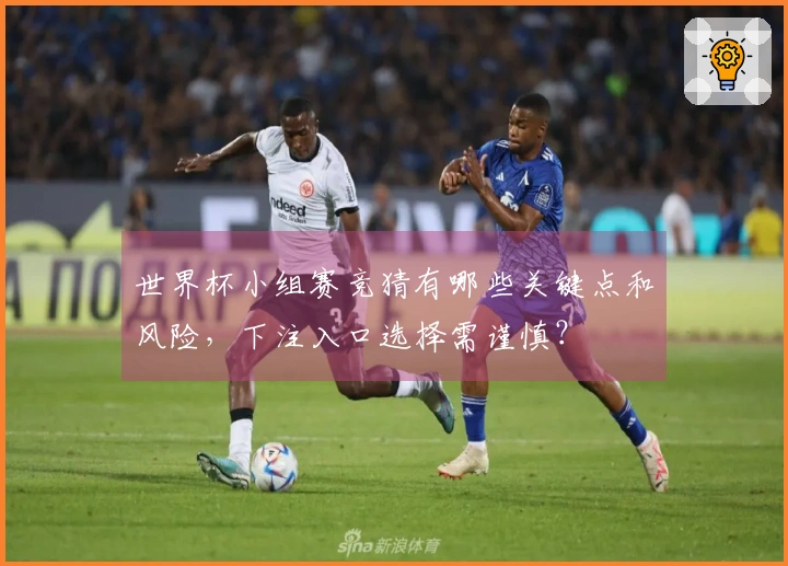 世界杯小组赛竞猜有哪些关键点和风险，下注入口选择需谨慎？