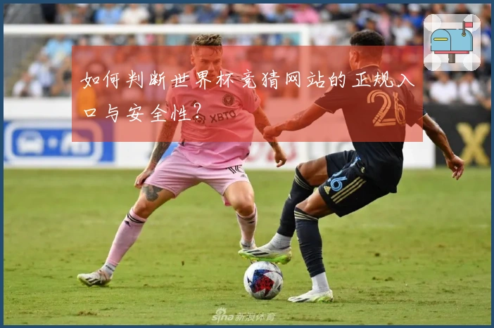 如何判断世界杯竞猜网站的正规入口与安全性？