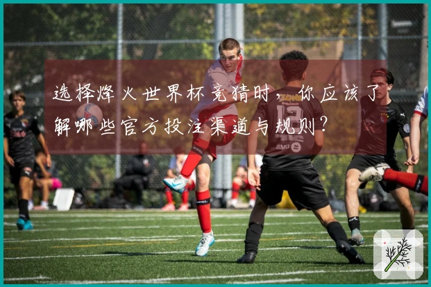 选择烽火世界杯竞猜时,你应该了解哪些官方投注渠道与规则?