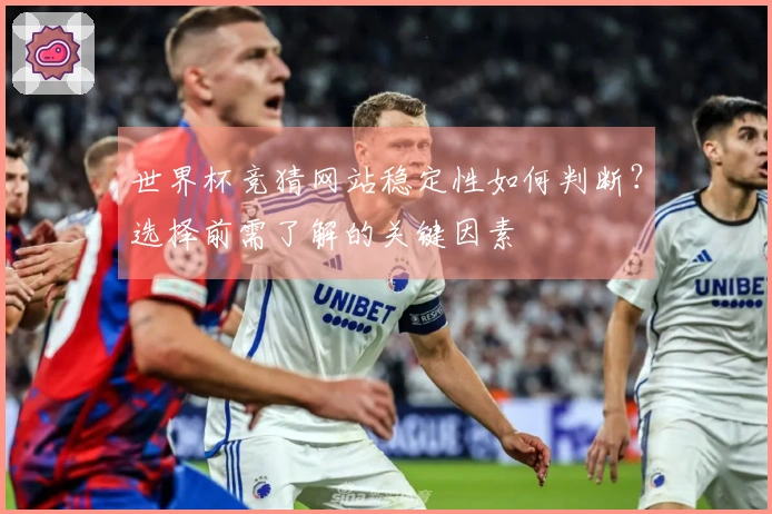 世界杯竞猜网站稳定性如何判断？选择前需了解的关键因素