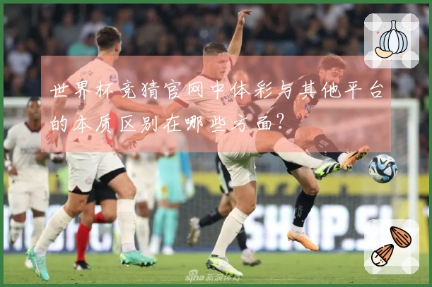 世界杯竞猜官网中体彩与其他平台的本质区别在哪些方面？
