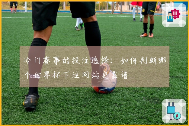 冷门赛事的投注选择：如何判断哪个世界杯下注网站更靠谱