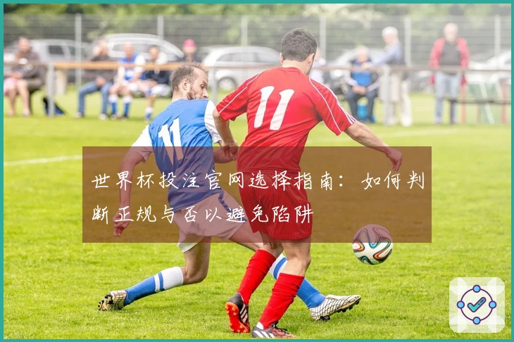 世界杯投注官网选择指南:如何判断正规与否以避免陷阱