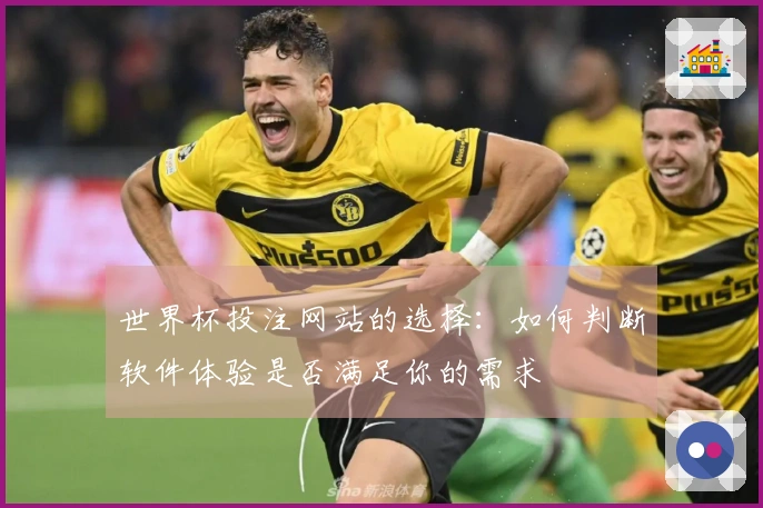 世界杯投注网站的选择:如何判断软件体验是否满足你的需求