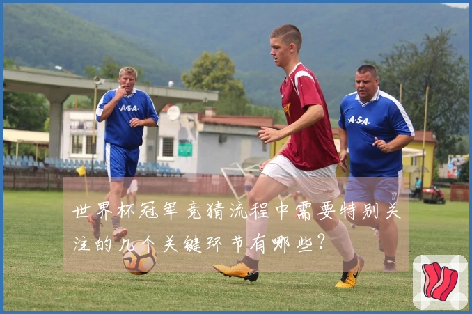 世界杯冠军竞猜流程中需要特别关注的几个关键环节有哪些？