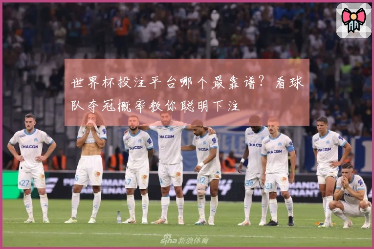 世界杯投注平台哪个最靠谱?看球队夺冠概率教你聪明下注
