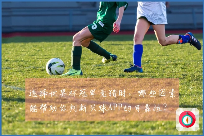 选择世界杯冠军竞猜时，哪些因素能帮助你判断买球APP的可靠性？