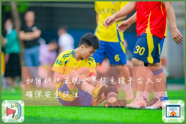 如何辨识正规世界杯竞猜平台入口确保安全投注