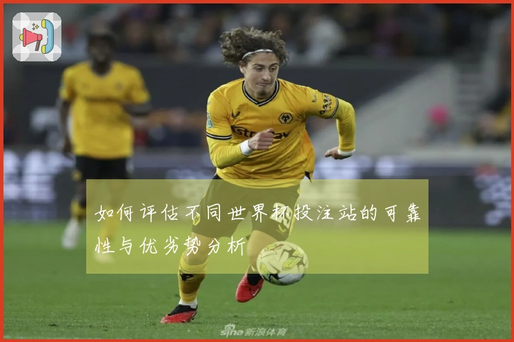 如何评估不同世界杯投注站的可靠性与优劣势分析